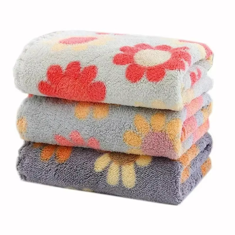 Coral Fleece Cleaning Cloth